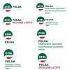 Leggi tutto: Logo FELSA CISL